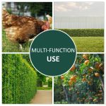 PVC Coated Steel Chicken Rabbit Mesh Fencing Wire Garden Galvanized Fence Border