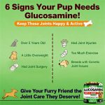 Youmile Hip & Joint Health Supplement For Dogs 120 Chews, Glucosamine Chondroitin MSM Dog Chews With Hyaluronic Acid, Liver Flavored Bone & Joint Support Supplement, For All Breeds