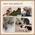 4-Tier Floor To Ceiling Cat Tree Height Adjustable 87 -103 Inch