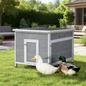Wooden With Openable Roof Cage, Removable Floor