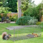 2Pcs 24X7.48X8.27IN Folding Humane Live Animal Trap Cages Easy To Catch And Release Foldable Cat Trap Galvanized Steel For Small Cats Squirrels Rabbits Hedgehog Chipmunk