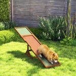 Wooden Dog Agility Seesaw For Training And Exercise, Weather Resistant, Orange