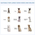 Outdoor Dog Kennel Galvanized Steel Fence with Cover Secure Lock Mesh Sidewalls for Backyard 9.8 x 9.8 x 7.7