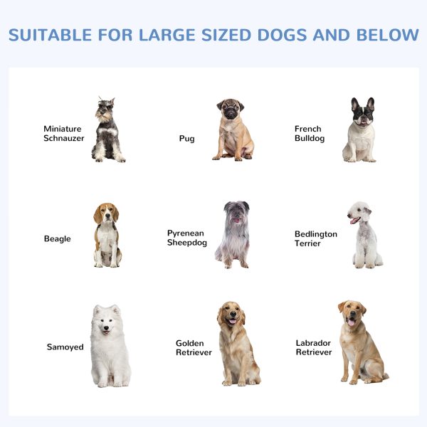 Outdoor Dog Kennel Galvanized Steel Fence with Cover Secure Lock Mesh Sidewalls for Backyard 9.8 x 9.8 x 7.7