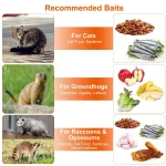 Humane Cat Trap Cage Catch Release Live Animal Rodent Cage Collapsible Galvanized Wire For Small Raccoons Beavers Groundhogs Foxes Armadillos