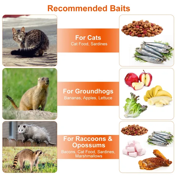 Humane Cat Trap Cage Catch Release Live Animal Rodent Cage Collapsible Galvanized Wire For Small Raccoons Beavers Groundhogs Foxes Armadillos