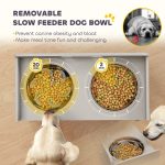 Elevated Dog Bowls With Storage, Raised Dog Bowl Stand With 2 Stainless Steel Bowl For Large Dogs, Gray