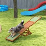 Wooden Dog Agility Seesaw For Training And Exercise, Weather Resistant, Orange