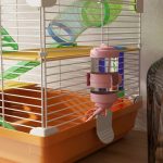 5 Tiers Hamster Cage Portable Animal Travel Carrier W Exercise Wheels Tube, Orange
