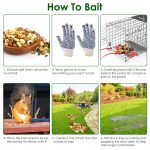 2Pcs 24X7.48X8.27IN Folding Humane Live Animal Trap Cages Easy To Catch And Release Foldable Cat Trap Galvanized Steel For Small Cats Squirrels Rabbits Hedgehog Chipmunk