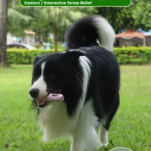 DOG Chew Toys For Teeth Cleaning,Pet Sausage Chew Brush,Pet Chew & Clean Buddy