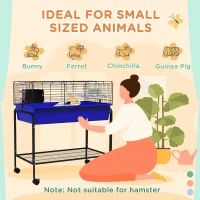 Two-Story Small Animal Cage Removable From Stand