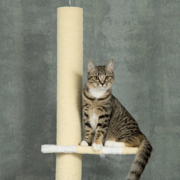 4-Tier Floor To Ceiling Cat Tree Height Adjustable 87 -103 Inch